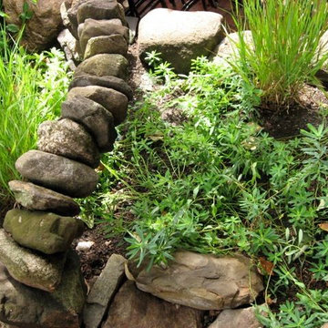 Rock garden detail