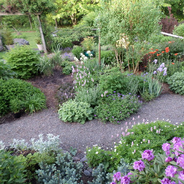Rustic Cabin Cottage Garden