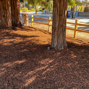 Front Yard Landscaping – Los Altos