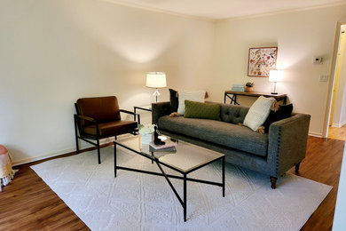 Example of a transitional living room design in Minneapolis