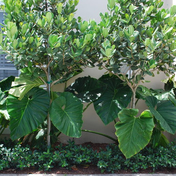 Rood Landscape Projects