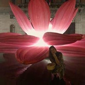 Violette Nathers foto
