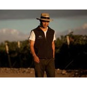 Lucas Palmero's photo
