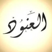 Anood Saif's photo