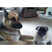 Joyce Pompeo's photo