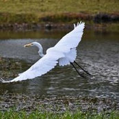 Susan Heap's photo