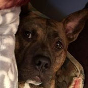 Sherry Price's photo