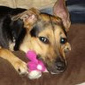 Julia Samaddar's photo