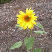 Cathy LaBerge's photo