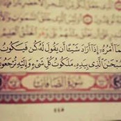 Menna Mosaad's photo