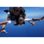 Sara Holt's photo