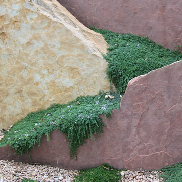 Oriental Spice Xeriscape in Lakewood