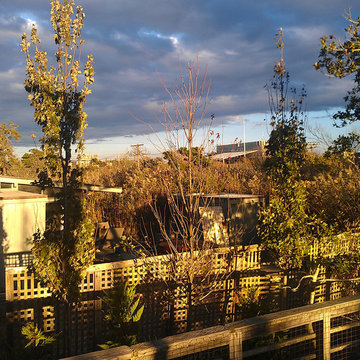 Screening the Deck Fantastic Side Yard 2015