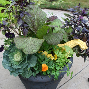 Fall container plantings