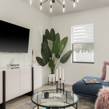 Light & Airy Modern Living Room with Plant Vibes