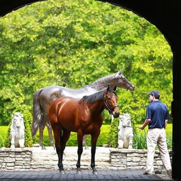 Equestrian