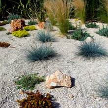 Gravel gardens