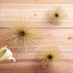 Sea Urchins, Set of 3 - Home Decor