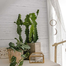 Wish List