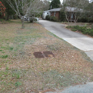 Sedlock: Start of Sod Installation