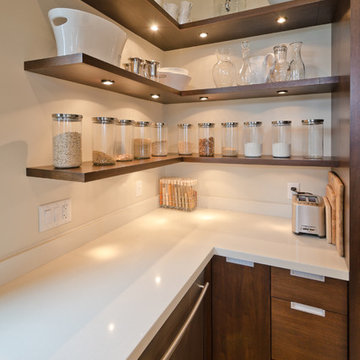 Luxury Modern Kitchen