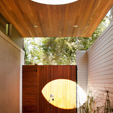Fence/Courtyard Treatments