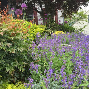 Workhorse Plants
