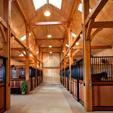 Equestrian Facilities