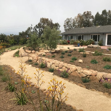 Sea Ranch Terracing