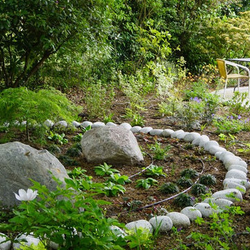 Japanese Inspired Garden