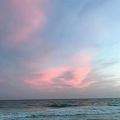 Cindy Durr's photo