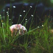 Duc Vinh Tran's photo