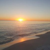 Laura Probus's photo