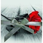 Julia Walter's photo