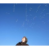 Suzanne Lauer's photo