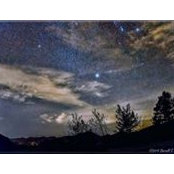 Terri Hursey's photo