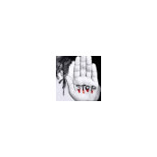 مهند العطار's photo