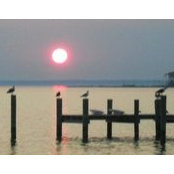 Foto von Kathy Gundy