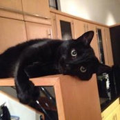 Erica Rockenback's photo