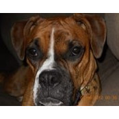 Paula Kauffman's photo