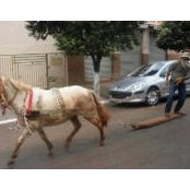 Foto de Kyle Dempsey
