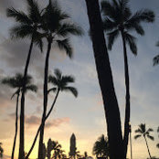 Dana Pitts Armour's photo