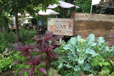 Design ideas for a landscaping in DC Metro.