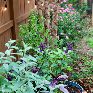 Colorful front yard, dog friendly backyard.