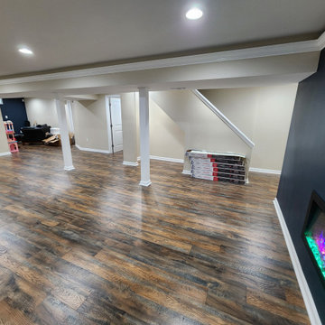Basement Finish with Full bathroom addition and Office