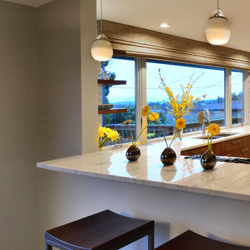 West Seattle Mid Century Kitchen Remodel- with Before and After Photos