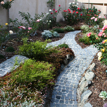 Tropical lawn replacement