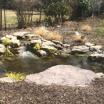 Garden Ponds, Back Yard Ponds, Landscape Ideas, Baltimore County, Maryland (MD)