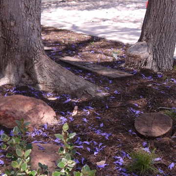 Primary School Nature Play