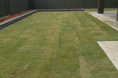 This is an example of a mid-sized modern backyard garden in Adelaide.